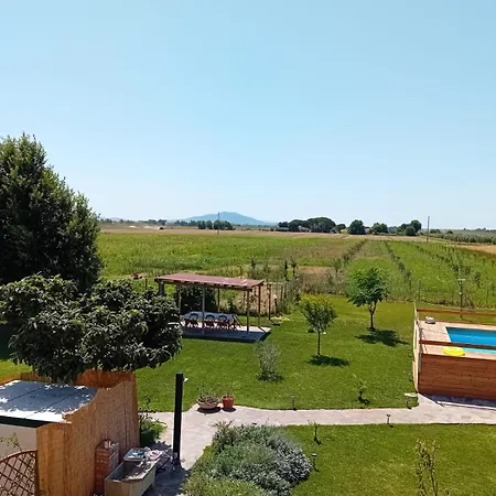 Podere 660 Il Salice * Marrucheto