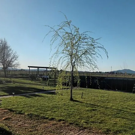 Podere 660 Il Salice * Marrucheto